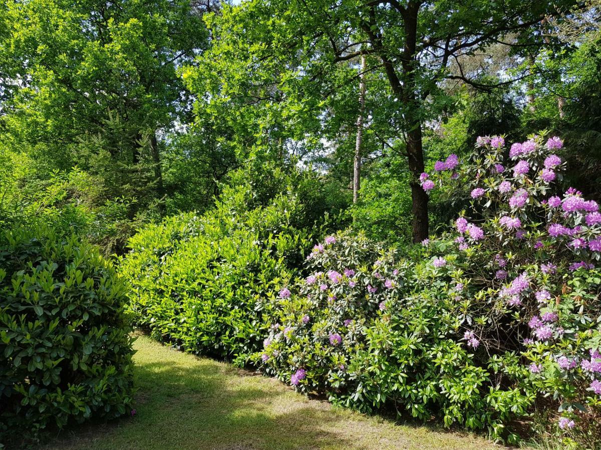 Bungalow Hartje Veluwe Otterlo Exterior photo